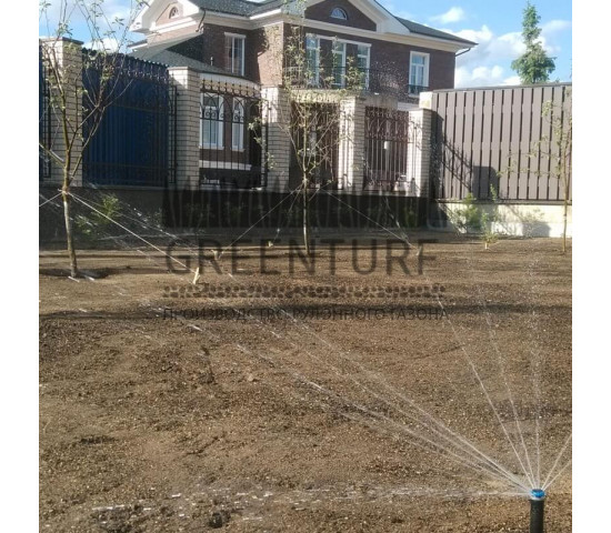 Озеленение участка загородного дома - фото - 10