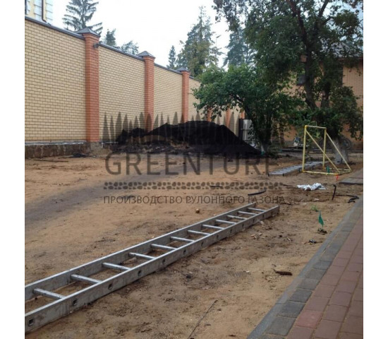 Озеленение частного домовладения - фото - 5