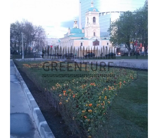 Озеленение части территории около Префектуры ВАО - фото - 5